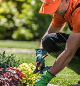 Servicio de jardinería